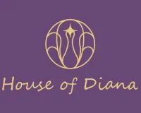 Which Silver Jewellery Brands Are Trending Among Celebrities? House of Diana Enters India's Premium D2C Jewellery Conversation