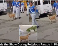 Goat Steals the Show During Religious Parade in Philippines