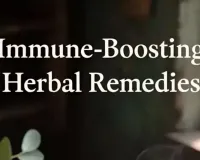 Monsoon Immunity Boosters: 5 Natural Herbs That Work in 2026