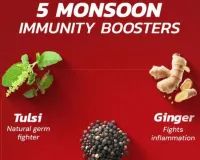 Natural Health Hacks for Daily Life: Ayurvedic Tips for Monsoon Wellness 2026