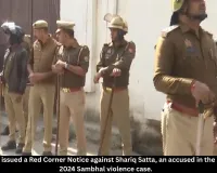 Interpol Red Corner Notice for Sambhal Violence Accused Shariq Satta