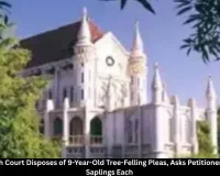 MP High Court Disposes of 9-Year-Old Tree-Felling Pleas, Orders Petitioners to Plant Saplings