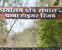 Panna Tiger Reserve: Illegal Teak Cutting Foiled, 3 Logs Seized