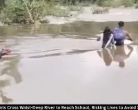 Umaria Students Cross Waist-Deep River to Reach School, Risk Lives