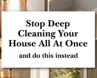 Natural Monsoon Cleaning Hacks: Pest Control Tips for Indian Homes 2026