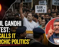 Rahul Gandhi Protest: BJP Calls It ‘Anarchic Politics’