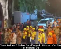 Uttarakhand Tunnel Accident: 3 Workers Feared Trapped, 16 Rescued in Pipalkoti