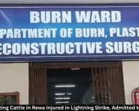 Rewa Woman Injured in Lightning Strike While Grazing Cattle, Admitted to Burn Ward