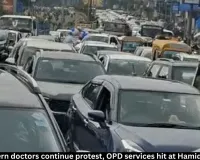 Bhopal Intern Doctors Protest: Hamidia OPD Hit