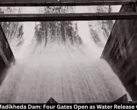 Madikheda Dam: 4 Gates Open, 654.494 Cumecs Released