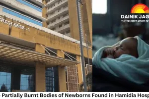 Two Partially Burnt Bodies of Newborns Found in Hamidia Hospital; Police Probe Negligence and Possible Foul Play