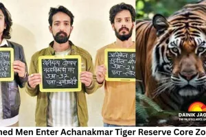Armed Men Enter Achanakmar Tiger Reserve Core Zone, Raise Alarm Over Tiger Safety