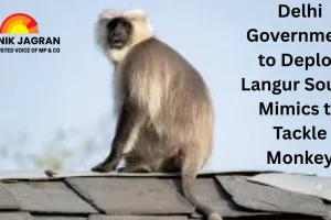 Delhi Government to Deploy Langur Sound Mimics to Tackle Monkey Menace at Assembly Complex