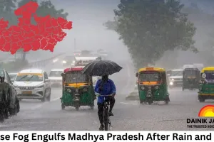 Dense Fog Engulfs Madhya Pradesh After Rain and Hail; Fresh Western Disturbance to Bring More Rain