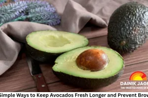 Five Simple Ways to Keep Avocados Fresh Longer and Prevent Browning