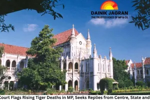High Court Flags Rising Tiger Deaths in MP, Seeks Replies from Centre, State and NTCA