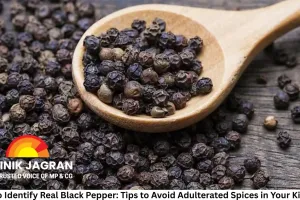 How to Identify Real Black Pepper: Tips to Avoid Adulterated Spices in Your Kitchen