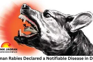 Human Rabies Declared a Notifiable Disease in Delhi; Health Authorities to Track Cases Promptly