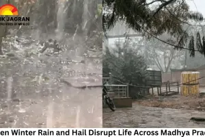 Sudden Winter Rain and Hail Disrupt Life Across Madhya Pradesh; Schools Shut in Gwalior, Crops Damaged in Over 25 Districts