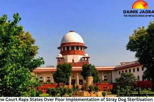 Supreme Court Raps States Over Poor Implementation of Stray Dog Sterilisation Orders