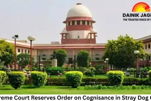 Supreme Court Reserves Order on Cognisance in Stray Dog Case, Seeks Written Submissions Within a Week