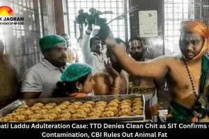 Tirupati Laddu Adulteration Case: TTD Denies Clean Chit as SIT Confirms Ghee Contamination, CBI Rules Out Animal Fat