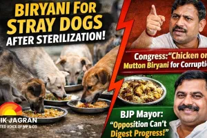 Raigarh Municipal Corporation Feeds Biryani to Stray Dogs Post-Neutering, Sparks Political Debate