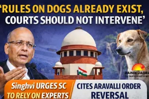 Stray Dog Case: Singhvi Urges Supreme Court to Rely on Existing Laws, Warns Against Judicial Overreach