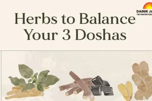  Winter Spices for Health 2026: Unlock Natural Healing with Your Everyday Masala Dabba | Ayurvedic Hacks  