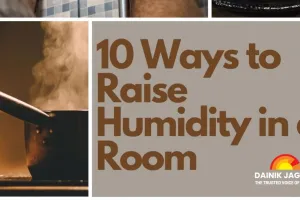 Feel Colder Indoors? The Simple 