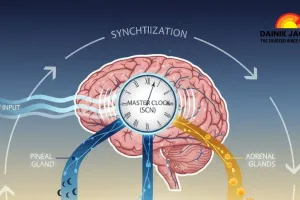  Light Therapy and Circadian Rhythms: Beating the Winter Blues Naturally