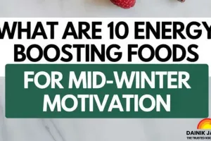 Nature's Energy Boosters: Why Dry Fruits Are the Ultimate Winter Superfoods in 2026