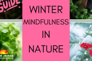 Thaw Your Mind: The Eco-Therapy and Mindfulness Effect for Winter Mental Wellness
