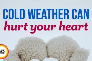  The Cold Wave Do's and Don'ts: Protecting the Vulnerable