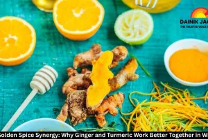  The Golden Spice Synergy: Why Ginger and Turmeric Work Better Together in Winter