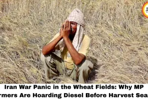 Iran War Panic in the Wheat Fields: Why MP Farmers Are Hoarding Diesel Before Harvest Season
