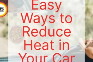 Car Cool Down: How to Protect Your Health from 