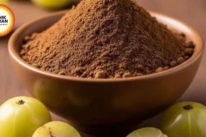 Ghee-Coated Amla: The Secret Natural Health Hack For Hair & Eyes | Summer 2026