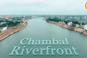 Draupadi's Curse Accidentally Became India's Greatest Conservation Policy