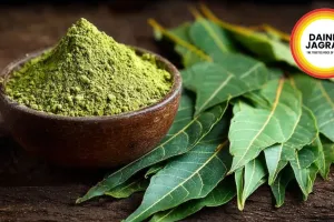  Neem Leaves: The Ultimate Natural Health Hack For Blood Purification | Summer 2026