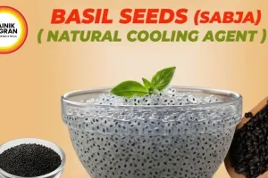 Sabja Seeds: The Tiny Black Superfood Cooling India's Summer 2026—How to Use Correctly