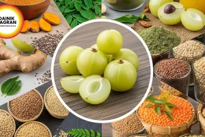 Summer 2026 Wellness: Why Desi Superfoods Are Beating Exotic Imports for Natural Health