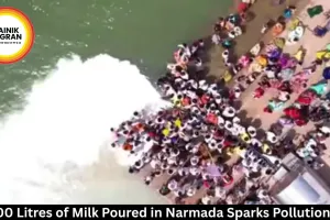 11,000 Litres of Milk Poured in Narmada Sparks Pollution Row