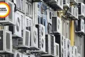  2026 AC Side Effect Hack: Apply Coconut Oil In Nostrils Before Bed