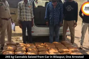 245 kg Cannabis Seized from Car in Bilaspur, One Arrested