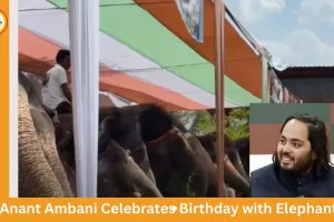 Anant Ambani’s Birthday Celebrated in Jaipur with Elephants: 3000 kg Fruit Feast Steals the Show