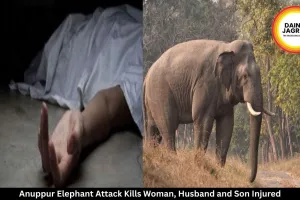 Anuppur Elephant Attack Kills Woman, Husband and Son Injured