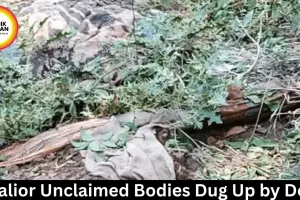 Gwalior Unclaimed Bodies Dug Up by Dogs