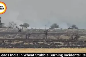 MP Leads India in Wheat Stubble Burning Incidents: Report