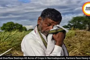 Canal Overflow Destroys 40 Acres of Crops in Narmadapuram, Farmers Face Heavy Loss